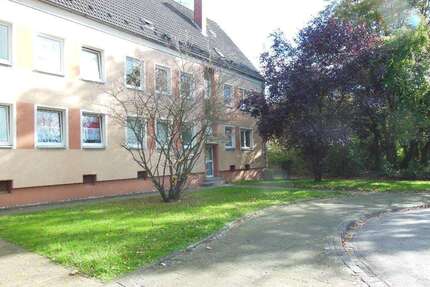 Wohnung zum Mieten in Gelsenkirchen 349,00 € 45.44 m²