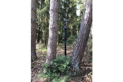 Grundstück zu verkaufen in Lindwedel 175.000,00 € 1000 m²