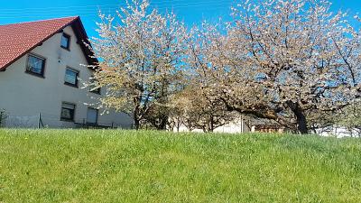 STADTNAHES WOHNGRUNDSTÜCK EFH O. MFH - Schömberg