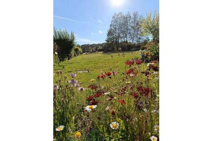 Einmalige Gelegenheit traumhaftes Baugrundstück in Bad Steben