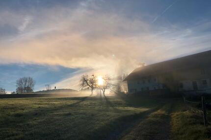 Naturnahe Ferienwohnung in urigem Bauernhaus im West-Allgäu - Weiler-Simmerberg