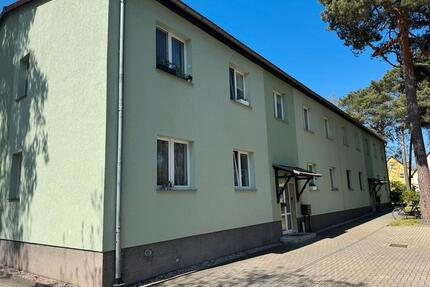 Idyllisch Wohnen am Kieferwald mit guter Anbindung - Wittenberg Lutherstadt