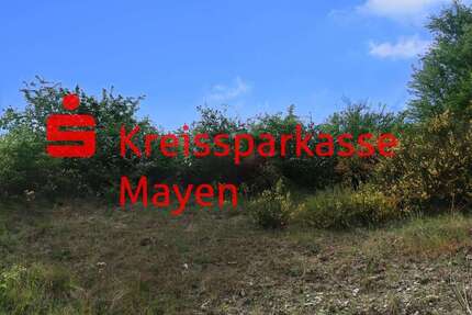 Grundstück zu verkaufen in Mayen 125.000,00 € 807 m²