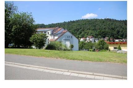 IDYLLISCHE LAGE MIT NECKARBLICK - Eberbach