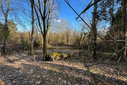 Verpachte Grundstück ca. 4000m² - Garten in Bestensee