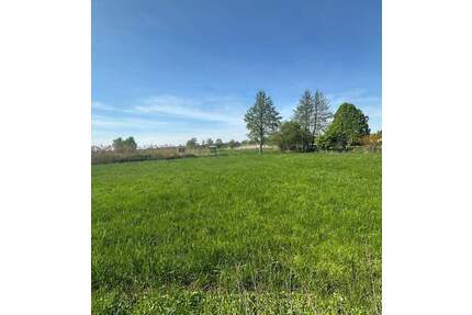 Baugrundstück am Naturschutzgebiet - Hamburg Bullenhausen