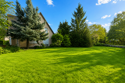 Grundstück zu verkaufen in Trebbin 379.000,00 € 984 m²
