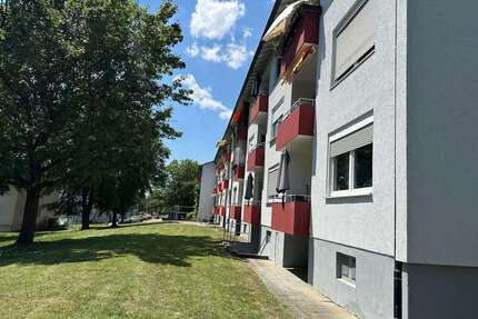 Wohnung zum Kaufen in Ulm 282.000,00 € 77 m²