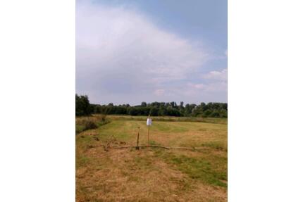 [Flossdorf]biete Wiese für Landwirt zum mähen - Baesweiler