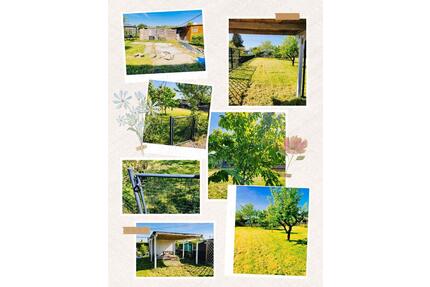 Freier Pachtgarten in Rackwitz - 500,00&nbsp;EUR Kaltmiete, ca.&nbsp; 0,00&nbsp;m&sup2; in Leipzig (PLZ: 04157) Nord