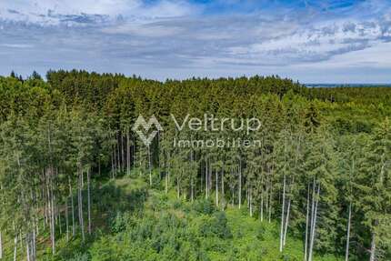 Grundstück in Egling an der Paar Heinrichshofen 477.490,00 € 73460 m² - Egling an der Paar / Heinrichshofen