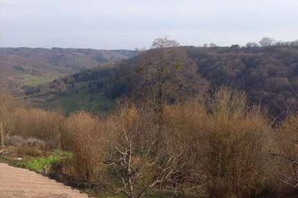 Wohnung zum Mieten in Wüstenrot-Maienfels 800,00 € 88 m²