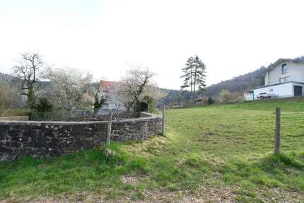 Grundstück zu verkaufen in Reichelsheim 78.000,00 € 1204 m²