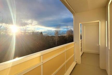 4 Zimmer, Balkon, toller Ausblick - Freiberg