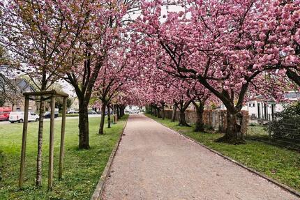 Großzügige 106 qm Maisonette in Dinslaken-Bruch zu verkaufen