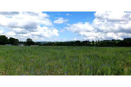 Grundstück zu verkaufen in AuerbachVogtland 94.080,00 € 672 m² - Auerbach/Vogtland