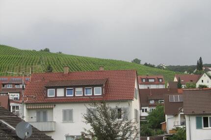 Helle 2-Zimmer Wohnung in Grunbach- Remshalden zu vermieten