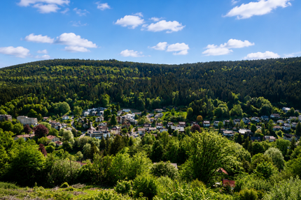 Grundstück zu verkaufen in Bad Wildbad 269.000,00 € 2380 m²