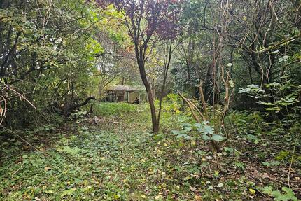 Freizeitgrundstück Schrebergarten Kleingarten ohne Verein am NSG - Kiel Elmschenhagen