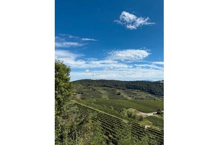 Wohnung für April zu vermieten - 1.000,00&nbsp;EUR Kaltmiete, ca.&nbsp; 55,00&nbsp;m&sup2; in Endingen am Kaiserstuhl (PLZ: 79346)