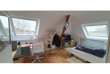 helles WG Zimmer in vintage Design Whg MS-Süd - Münster Mitte-Süd