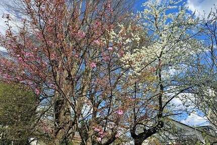 Haus zum Kaufen in Augsburg Haunstetten 489.000,00 € 127 m² - Augsburg / Haunstetten