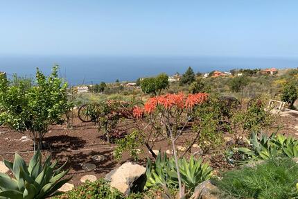 La Palma Kanaren isla bonita Sonderpreise Sommer 2026 - Krautheim