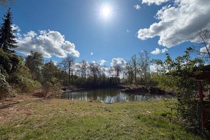 Schöner Fischteich in der Nähe von Kalkar
