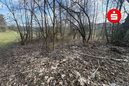 Grundstück zu verkaufen in Altdorf 250.000,00 € 990 m²