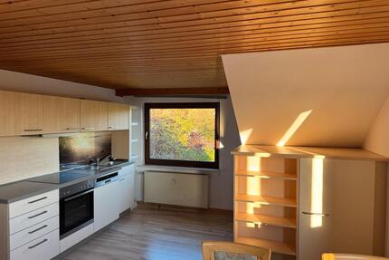 Ruhig gelegene 2-Zimmer DG Wohnung - Elbtal