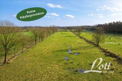 Grundstück in Apen Bokelermoor 36.900,00 € 11128 m² - Apen / Bokelermoor