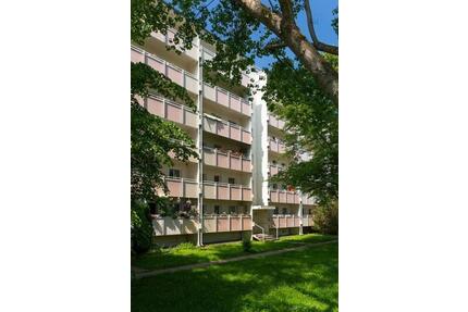 Aktuelle Renovierung einer 3-Zimmer-Wohnung mit Balkon! - Dresden Cotta