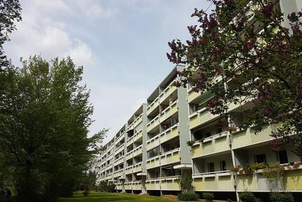 4-Raumwohnung mit Südbalkon - 179.000,00&nbsp;EUR Kaufpreis, ca.&nbsp; 76,00&nbsp;m&sup2; in Dresden (PLZ: 01219) Prohlis