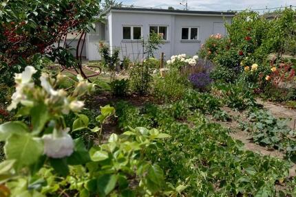 Kleingarten, Garten - 1.200,00&nbsp;EUR Kaltmiete, ca.&nbsp; 0,00&nbsp;m&sup2; in Wettin-Löbejün (PLZ: 06193)