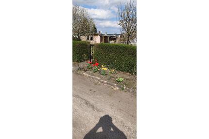 Schrebergarten in Bitterfeld (300 Quadratmeter) - sofort nutzbar - Bitterfeld-Wolfen