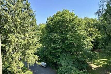 Wohnung zum Mieten in Bonn Poppelsdorf 550,00 € 33 m² - Bonn / Poppelsdorf
