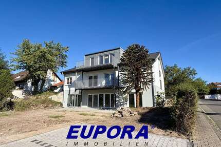 Wohnung zum Mieten in Kirchheimbolanden 1.705,00 € 142.01 m²