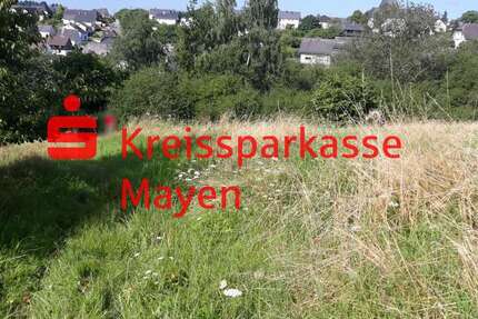 Grundstück zu verkaufen in Laubach 79.000,00 € 1575 m²