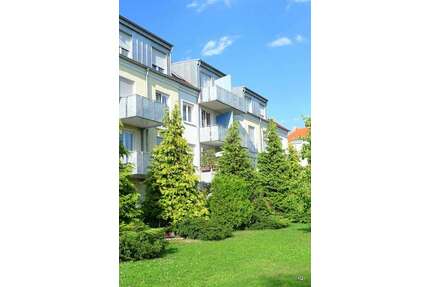 Wohnung zum Mieten in Dresden 515,00 € 55 m²