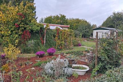 Kleingarten Pachtgarten 384 m² - 2.300,00&nbsp;EUR Kaltmiete, ca.&nbsp; 0,00&nbsp;m&sup2; in Magdeburg (PLZ: 39126) Barleber See