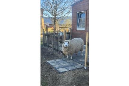 Ferienhaus Büro zu vermieten - 123,00&nbsp;EUR Kaltmiete, in Buchholz in der Nordheide (PLZ: 21244)