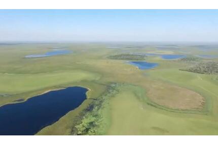 Investitionsmöglichkeit: 1.200 Hektar in Ñeembucú, Paraguay - Germering