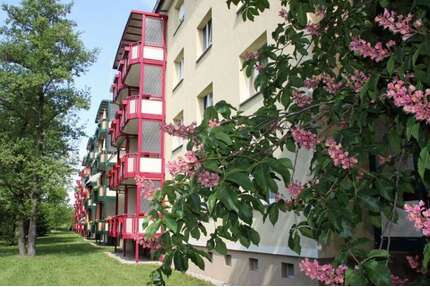 Wohnung zum Mieten in Hoyerswerda 350,00 € 62.74 m²