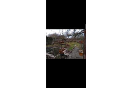 Wunderschöner Schrebergarten abzugeben - Neubrandenburg