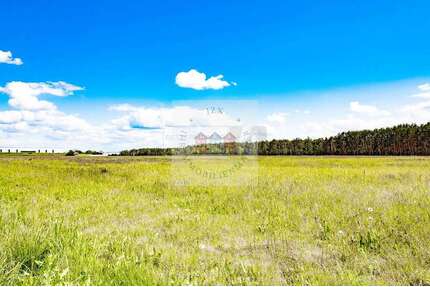 Grundstück in Jessen (Elster) 110.000,00 € 3721 m²