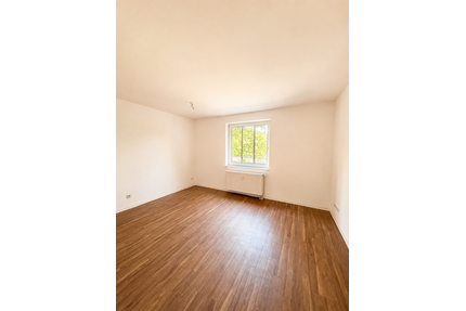 Wohnung zum Mieten in Chemnitz 320,00 € 49 m²