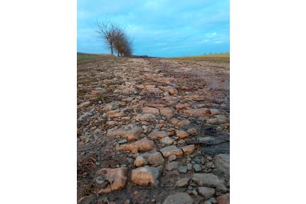 Wohnen und Leben im Baudenkmal - 500,00&nbsp;EUR Kaltmiete, ca.&nbsp; 90,00&nbsp;m&sup2; in Bad Bibra (PLZ: 06647)
