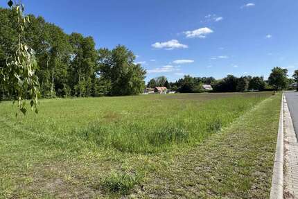 Grundstück in Döbern 120.000,00 € 10149 m²