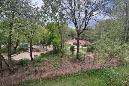 Wohnung zum Kaufen in Sulzbach 239.000,00 € 77 m²