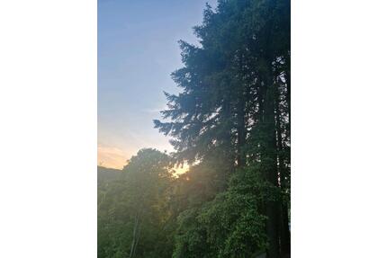 Grundstück zur Pacht - 250,00&nbsp;EUR Kaltmiete, ca.&nbsp; 0,00&nbsp;m&sup2; in Siegbach (PLZ: 35768)